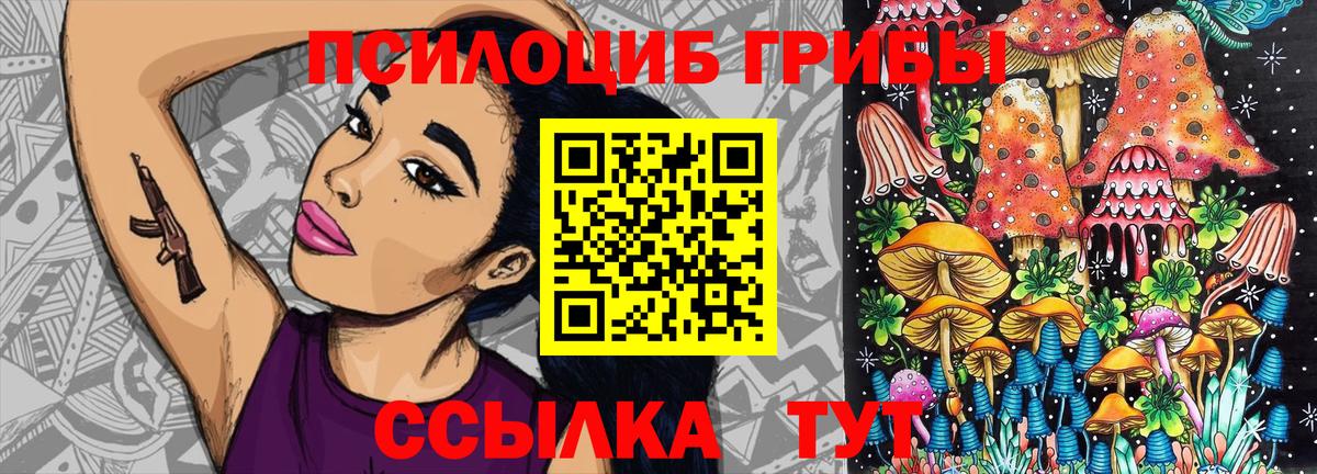 Богородск  Псилоцибиновые грибы GOLDEN TEACHER  Вход с VPN 
